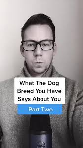 What Having A Great Dane Says about A Girl