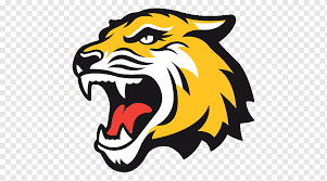 Harimau adalah yang paling kuat dari semua kucing besar, dan asli dari asia timur dan selatan. Sumatra Tiger Tier Brullen Aerographie Tier Tiere Png Pngwing