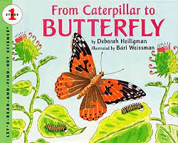 Start studying from caterpillar to butterfly. From Caterpillar To Butterfly Let S Read And Find Out Science 1 Heiligman Deborah Weissman Bari Amazon De Bucher