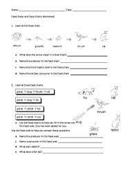 Food Chain Worksheet 1st Grade Worksheet List