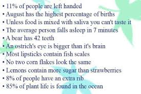 100 crazy facts to truly blow your mind! Weird But True Facts Fun Facts Did You Know Facts True Interesting Facts