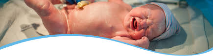 Wash your baby in the following order: Premature Baby Care In The Nicu Waterwipes Australia New Zealand