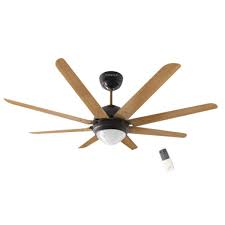 An enthusiast or supporter, especially with regard to entertainment or sports. Havells Octet Smart Fan Smart Fans Price In India Specification Features Digit In