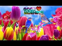 Mood Fresh Morning Video 39 S Whatsup Video 2018 Youtube Good Morning Gif Good Night Song Good Morning Song