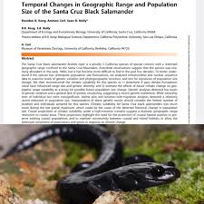 Image result for Vepris sansibarensis