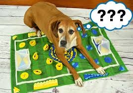 Check out our puzzle mat for dogs selection for the very best in unique or custom, handmade pieces from our pet accessories shops. The 2 Best Snuffle Mats For Dogs 7 Tested And Reviewed