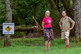 I am only a little see that blossoms from a willow tree i don't bloom but sway in the evening wind, i reach down to touch the ground but we don't ever me; Willows Poisoning At Daylesford Lake A Disaster For Heat Activists Bendigo Advertiser Bendigo Vic