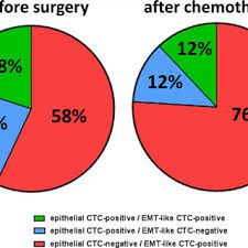 phenotypic overlap of epithelial and emt like ctcs the pie