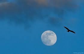 Vollmond nähert sich der erde. Wxcqypkg7nswrm