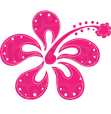 Seeking for free pink flower png images? Hot Pink Flower Png By Hanabell1 On Deviantart