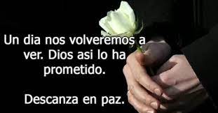 Esperamos que les sean útiles para continuar con sus vidas. Pin En Fotos De Luto