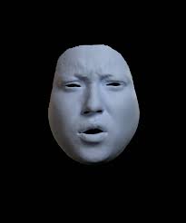 Anatomically Constrained Implicit Face Models