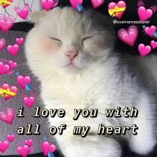 I Really Want To Visit Australia In The Future It S My Fav Country Follow Lovememesdealer For More Mo Happy Memes Love You Meme Cute Memes