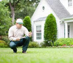 But because reducing the presence of mosquitoes on your property requires expertise with plants and other features of your landscape, trugreen has emerged as a strong competitor in this specialized area of pest control. Affordable Lawn Care Maintenance Treatment Services Trugreen