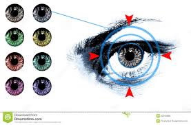 Eye Lens Shade Chart Stock Photo Image Of White