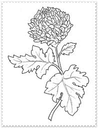 Descopera cele mai interesante desene de colorat cu flori, special pentru micutul tau. Planse De Colorat Cu Flori Crizanteme Coloring Free To Print