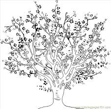 100% free fruit coloring pages. To Draw A Cherry Tree Step 4 Coloring Page For Kids Free Cherries Printable Coloring Pages Online For Kids Coloringpages101 Com Coloring Pages For Kids