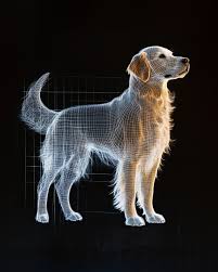 Why Some Movie Dogs Need CGI for Their Tails Dogs are known for their expressive tails, wagging furiously when they're happy or excited. While this is endearing in real life, it can