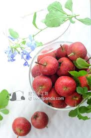 果皮丹山楂球山楂條 山楂零食一次滿足 homemade hawthorn fruit leather snacks 肥丁手工坊 fruit fruit leather snacks