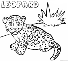 Cruising catamarans with the launch of the leopard 40. Leopard Coloring Sheets Animal Coloring Pages Printable 2021 2828 Coloring4free Coloring4free Com