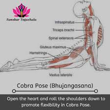 Yoga In Rishikesh Yoga Poses Names Rishikesh Yoga Yoga School