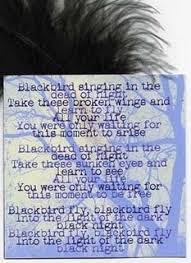 Blackbird Singing In The Dead Of Night Lyrics And Chords Favorite Song Quote Blackbird Fly Into The Light Of The Dark Black Night Song Lyrics Art Black Bird