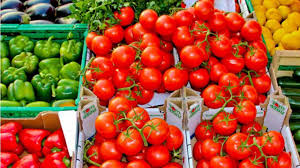 Il s'agit de fruits et legumes que je fais pousser au togo, sans pesticides ni engrais particuliers ( etc. Pas De Tomate Bio En Hiver Les Fruits Et Legumes Bio Cultives En France Interdits A La Vente En Hiver Lci