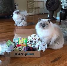 They're a great way to discover new items, especially handmade pieces or products from new artists and small businesses you wouldn't. 23 Little Known Subscription Services That Will Change Your Life