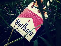 The marlboro township public schools app gives you a personalized window into what is happening at the district and schools. Hd Wallpaper Cigarettes Vintage Marlboro Smoke Wallpaper Flare