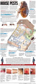 Free animal removal is uncommon. 52 Pest Control Ideas Pest Control Pests Bones Funny