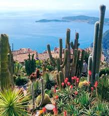 Epingle Sur Les Plus Beaux Jardins