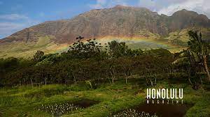 The Best Hawai I Zoom Backgrounds For Your Next Video Calls And Meetings Hawaii Pictures Great Basin National Park Michigan State Parks