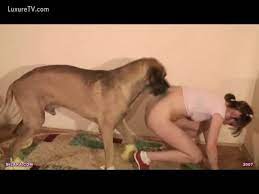 pervyj zoo seks s sobakoj