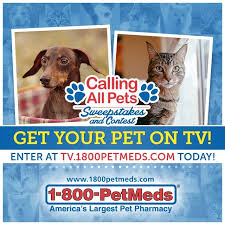 Redeem This Code And Take 20 Off Sitewide Free Shipping On Orders Of 49 At 1800petmeds Shop Now Animal Tv Birthday Quiz Your Pet