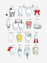 Dental Definitions Poster By Amandaflagg Redbubble Dental Humor Dental Dental Insurance