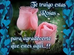 Flores Para Agradecer Una Linda Amistad Frases De Rosas Versos De Amor Pensamientos De Amistad