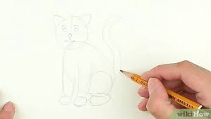Now make another circle for the rear end of the body along with the outline for the ears. 4 Ways To Draw A Cat Wikihow