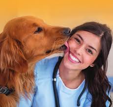 Consumer Vet Brochure Professional