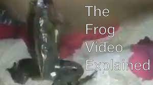 What Is 'The Frog Video' And Where To Find It? All About The Viral Shock  Media | Know Your Meme