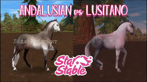 But in the end, this was also a good solution may 24, 2021 at 6:57am. New Andalusian Vs Lusitano Star Stable Online Youtube
