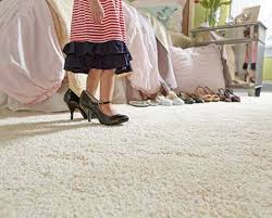 Stainmaster Carpet Luxury Vinyl And Home Cleaning Products