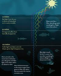 American Museum Of Natural History On Twitter Oceanography Ocean Science Educational Infographic