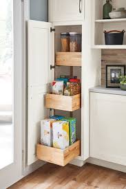 Diamond At Lowes Organization And Specialty Products Utility Cabinet Kitchen Storage Solutions New Kitchen Cabinets Diy Kitchen Cabinets