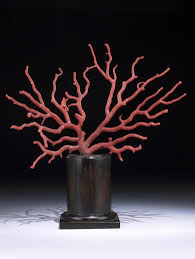 Sango koralle in sunday essentials multivitaminen. Rote Koralle Auf Schwarzem Sockel Hampel Fine Art Auctions