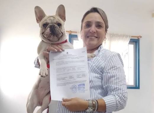 Guía para viajar con mascotas desde Argentina: Qué se necesita y cómo hacer el trámite | Argentina.gob.ar