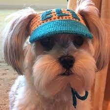 Dog S Cap With Text Baseball Cap For Dog Visor Cap For Dog Hat For Dog Dog S Cap Sun Hat For Dog Dog S Crochet Baseball Cap In 2021 Dog Hat Crochet Dog Crochet Dog Hat