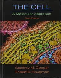 The Cell Cell A Molecular Approach Amazon De Cooper Geoffrey M Hausman Robert E Fremdsprachige Bucher