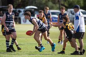 Swans soar over the Cats