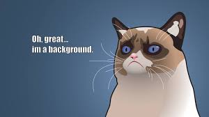 We've chosen the best out there for both work and play. Background Grumpy Cat By Michael Gillett Wallpapers Wallpaperhub