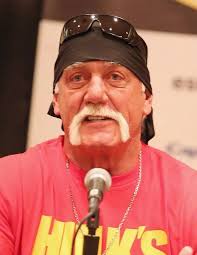 Hulk Hogan's dream of reconciling with estranged daughter in his final  days: 'he held out hope'